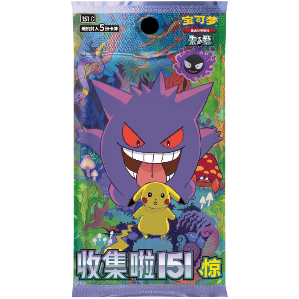 Pokemon TCG | Chinese 151 Surprise Coin Set